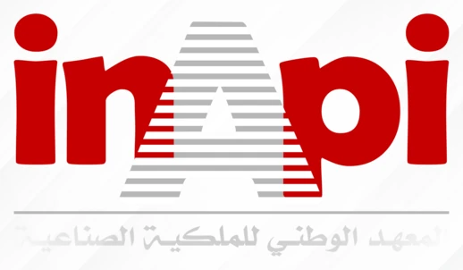 Logo INAPI